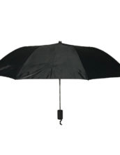 Noah’s Ark – Auto Short