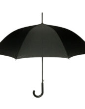 Noah’s Ark – Executive Auto Long